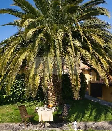 La Casona Del Cura Iii Pravia